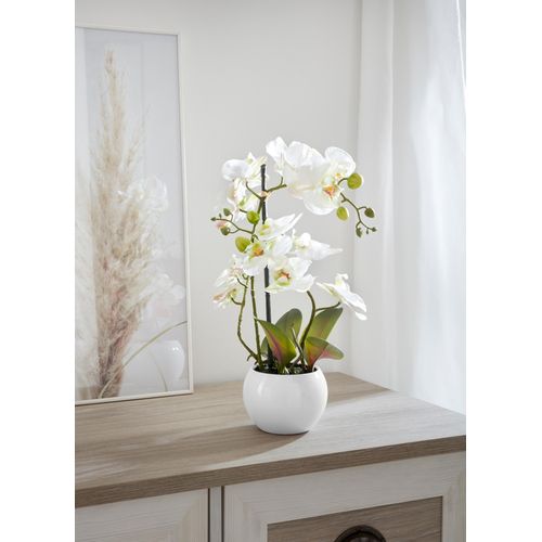 4064118077305 - Kunstorchidee Ernestine Kunstpflanzen Gr H 42 cm 1 St weiß Kunstorchidee Kunst-Orchideen Kunstpflanzen Kunstpflanze im Topf