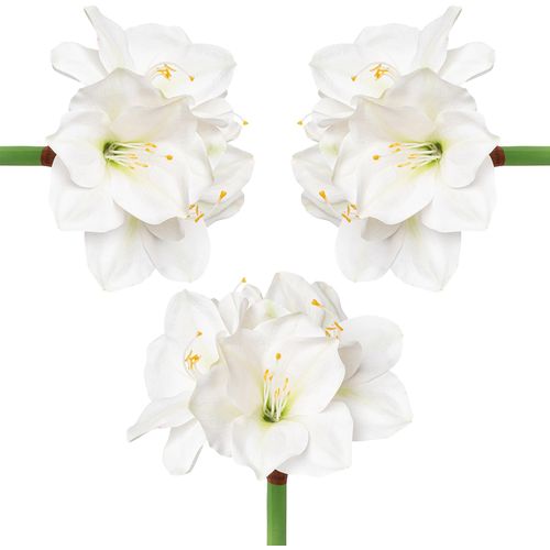 4064118884187 - Winterliche Kunstpflanze CREATIV DECO Weihnachtsdeko Kunstpflanzen Gr H 56 cm 3 St weiß Kunstpflanzen üppige Blütenpracht 3er-Set