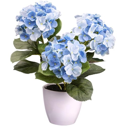 4064118138525 - Kunstblume CREATIV GREEN Hortensienbusch blau H32cm Obermaterial 85% Polyester 15% Polyethylen Kunstpflanzen 4064118138525 - Kunstblume CREATIV GREEN Hortensienbusch blau H32cm Obermaterial 85% Polyester 15% Polyethylen Kunstpflanzen