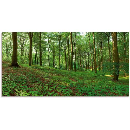 4058661629470 - Glasbild ARTLAND Panorama von einem grünen Sommerwald Bilder Gr B H 100 cm x 50 cm Glasbild Wald 1 St grün Glasbilder in verschiedenen Größen 4058661629470 - Glasbild ARTLAND Panorama von einem grünen Sommerwald Bilder Gr B H 100 cm x 50 cm Glasbild Wald 1 St grün Glasbilder in verschiedenen Größen