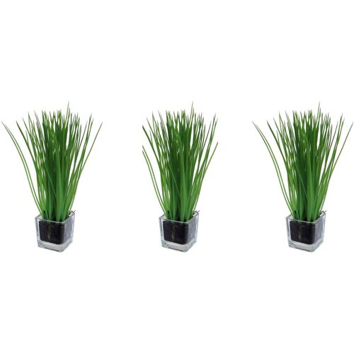 4064118965039 - Kunstgras CREATIV GREEN Gras im Glas Kunstpflanzen Gr B H L 6 cm x 23 cm x 6 cm 3 St grün Kunst-Gräser 4064118965039 - Kunstgras CREATIV GREEN Gras im Glas Kunstpflanzen Gr B H L 6 cm x 23 cm x 6 cm 3 St grün Kunst-Gräser