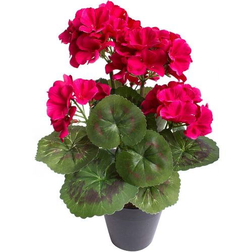 5415070704553 - Kunstblume BOTANIC-HAUS Geranienbusch mit 6 Blütenköpfen bunt (beauty) B22cm H30cm T22cm Ø22cm Kunststoff Kunstpflanzen