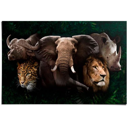 8714597630558 - Poster REINDERS The big five braun (farbe bild(er) braun) B915cm H61cm T01cm Papier Bilder
