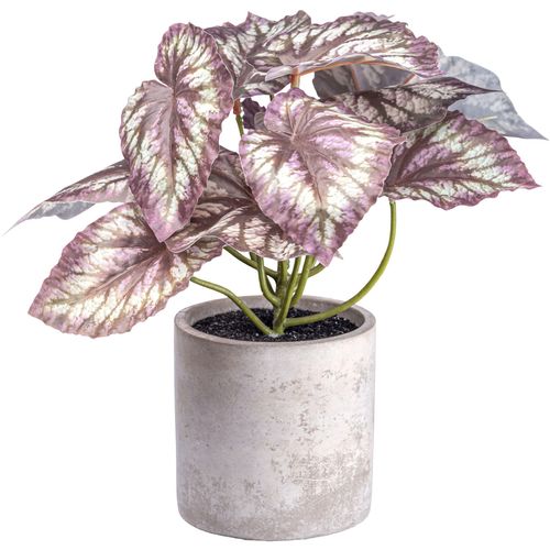 4064118181224 - Künstliche Zimmerpflanze CREATIV GREEN Rex Begonia grün H22cm Kunstpflanzen mit detailgetreuem Blattwerk