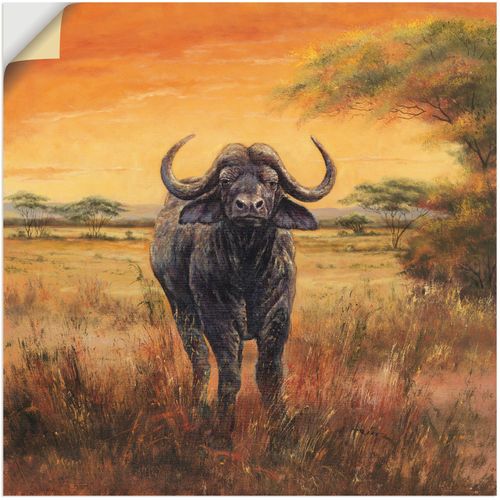 4057738207306 - Wandbild ARTLAND Büffel Bilder Gr B H 30 cm x 30 cm Wandaufkleber - Vinyl Wildtiere 1 St orange Bild Leinwandbild Kunstdrucke Bilder als Alubild Leinwandbild Wandaufkleber oder Poster in versch Größen