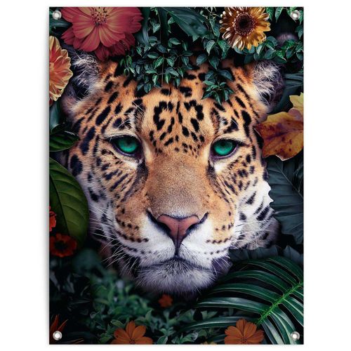 8714597639094 - Poster REINDERS Leopard orange (farbe bild(er) orange) B60cm H80cm T01cm Leinwand Bilder