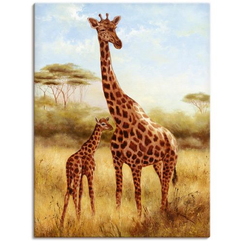 4055327153041 - Wandbild ARTLAND Giraffe Bilder Gr B H 60 cm x 80 cm Leinwandbild Wildtiere 1 St braun Bild Metallbild Metallbilder Bilder als Alubild Leinwandbild Wandaufkleber oder Poster in versch Größen