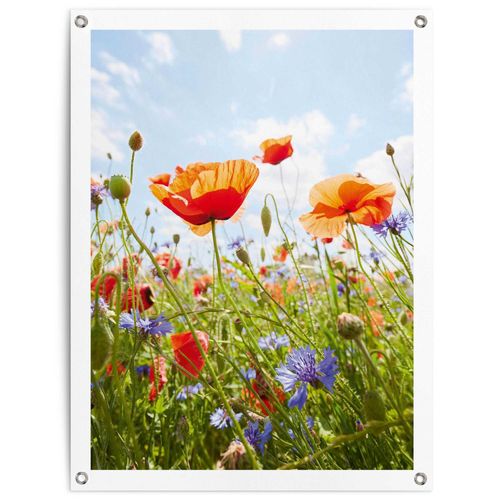 8714597638936 - Poster REINDERS Blumenfeld bunt (farbe bild(er) bunt) B60cm H80cm T01cm Leinwand Bilder Outdoor für Garten oder Balkon