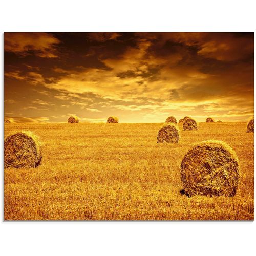 4059745778848 - Glasbild ARTLAND Erntezeit Bilder Gr B H 80 cm x 60 cm Glasbild Vier Jahreszeiten 1 St gelb Glasbilder in verschiedenen Größen 4059745778848 - Glasbild ARTLAND Erntezeit Bilder Gr B H 80 cm x 60 cm Glasbild Vier Jahreszeiten 1 St gelb Glasbilder in verschiedenen Größen