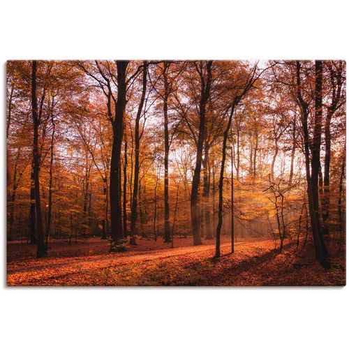 4059745092050 - Wandbild ARTLAND Sonnenaufgang im Herbst II Bilder Gr B H 90 cm x 60 cm Leinwandbild Wald 1 St braun Bild Kunstdruck Kunstdrucke Bilder als Alubild Leinwandbild Wandaufkleber oder Poster in versch Größen 4059745092050 - Wandbild ARTLAND Sonnenaufgang im Herbst II Bilder Gr B H 90 cm x 60 cm Leinwandbild Wald 1 St braun Bild Kunstdruck Kunstdrucke Bilder als Alubild Leinwandbild Wandaufkleber oder Poster in versch Größen