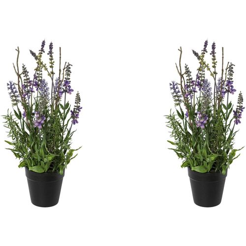 4064118117407 - Kunstblume CREATIV GREEN Lavendel im Topf lila H35cm Obermaterial 100% Polyethylen Kunstpflanzen