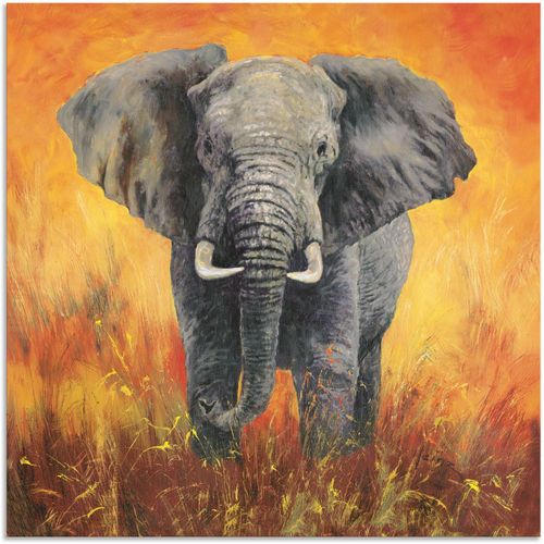 4062144593202 - Wandbild ARTLAND Porträt Elefant Bilder Gr B H 50 cm x 50 cm Alu-Dibond-Druck Elefanten Bilder quadratisch 1 St grau Kunstdrucke als Alubild Leinwandbild Wandaufkleber oder Poster in versch Größen