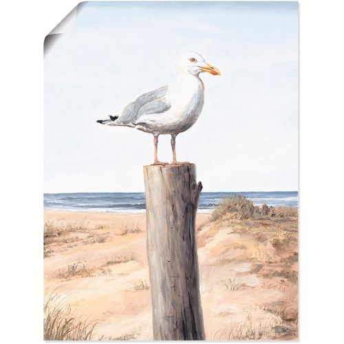 4055327289344 - Wandbild ARTLAND Möwe Bilder Gr B H 45 cm x 60 cm Poster Vögel 1 St weiß Bild Poster Bilder als Alubild Leinwandbild Wandaufkleber oder in versch Größen 4055327289344 - Wandbild ARTLAND Möwe Bilder Gr B H 45 cm x 60 cm Poster Vögel 1 St weiß Bild Poster Bilder als Alubild Leinwandbild Wandaufkleber oder in versch Größen