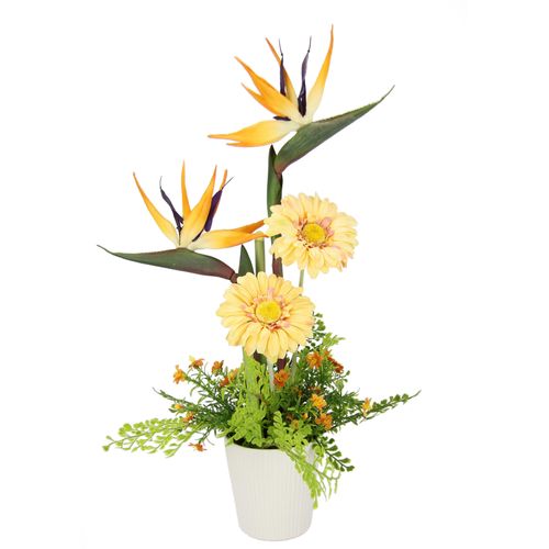 4019844754440 - Kunstblume IGEA Arrangement Strelitzie Gerbera Kunstpflanzen Gr B H L 35 cm x 60 cm x 30 cm 1 St orange Kunst-Blumen Kunstpflanzen Topf aus Keramik 4019844754440 - Kunstblume IGEA Arrangement Strelitzie Gerbera Kunstpflanzen Gr B H L 35 cm x 60 cm x 30 cm 1 St orange Kunst-Blumen Kunstpflanzen Topf aus Keramik