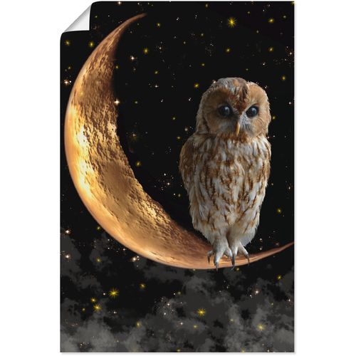 4059745560290 - Wandbild ARTLAND Nachteule Bilder Gr B H 60 cm x 90 cm Poster Vögel 1 St beige (naturfarben) Bild Kunstdruck Metallbild Metallbilder Bilder als Alubild Leinwandbild Wandaufkleber oder Poster in versch Größen