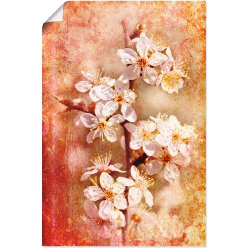 4057738962861 - Wandbild ARTLAND Kirschblüten Bilder Gr B H 20 cm x 30 cm Poster Blumen 1 St orange Kunstdrucke Bilder als Alubild Leinwandbild Wandaufkleber oder Poster in versch Größen 4057738962861 - Wandbild ARTLAND Kirschblüten Bilder Gr B H 20 cm x 30 cm Poster Blumen 1 St orange Kunstdrucke Bilder als Alubild Leinwandbild Wandaufkleber oder Poster in versch Größen