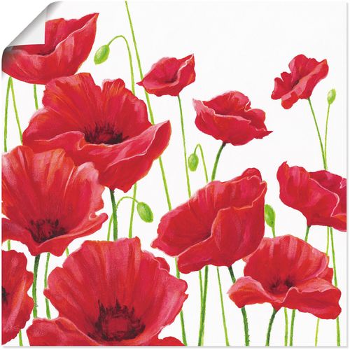 4055327275422 - Wandbild ARTLAND Rote Mohnblumen I Bilder Gr B H 50 cm x 50 cm Poster Blumen 1 St rot Bild Leinwandbild Kunstdrucke Bilder als Alubild Leinwandbild Wandaufkleber oder Poster in versch Größen