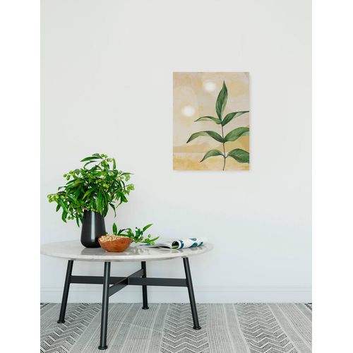 4055065030635 - Leinwandbild KOMAR Desert Survivor - Größe 30 x 40 cm bunt (farbe bild(er) grün gelb weiß) B30cm Papier Holz Bilder Keilrahmenbild mi Echtholzrahmen 4055065030635 - Leinwandbild KOMAR Desert Survivor - Größe 30 x 40 cm bunt (farbe bild(er) grün gelb weiß) B30cm Papier Holz Bilder Keilrahmenbild mi Echtholzrahmen