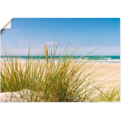 4059745774390 - Wandbild ARTLAND Dünengras Bilder Gr B H 70 cm x 50 cm Poster Strand 1 St beige (naturfarben) Bild Leinwandbild Kunstdrucke Bilder als Alubild Leinwandbild Wandaufkleber oder Poster in versch Größen