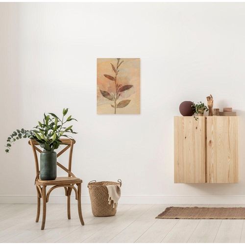 4055065030475 - Leinwandbild KOMAR Pressed Leaves - Größe 30 x 40 cm braun (farbe bild(er) braun gelb) B30cm Papier Holz Bilder Keilrahmenbild mi Echtholzrahmen