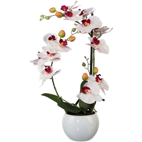 4003529740835 - Kunstpflanze CREATIV GREEN Phalaenopsis Kunstpflanzen Gr H 42 cm 1 St rosa Kunstorchidee Kunstpflanze Zimmerpflanze Künstliche Zimmerpflanzen Kunstpflanzen