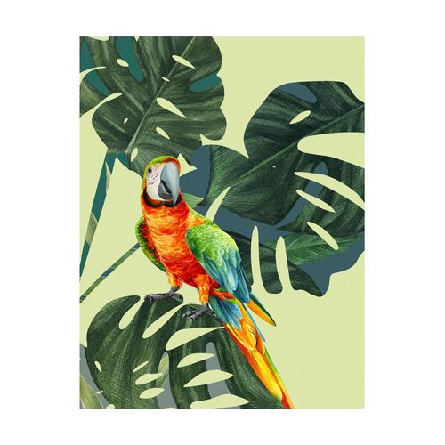 4055065179044 - Bild KOMAR Green-Winged Macaw bunt (farbe bild(er) bunt) B40cm H50cm Papier Holz Bilder Wandbild zur Dekoration - ohne Rahmen 4055065179044 - Bild KOMAR Green-Winged Macaw bunt (farbe bild(er) bunt) B40cm H50cm Papier Holz Bilder Wandbild zur Dekoration - ohne Rahmen