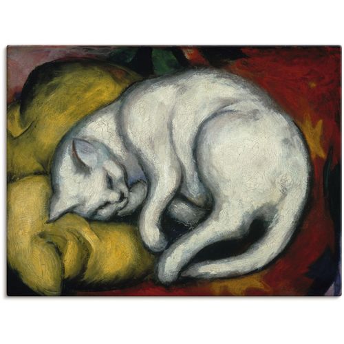 4058661196682 - Wandbild ARTLAND Die weisse Katze 1912 Bilder Gr B H 40 cm x 30 cm Leinwandbild Haustiere 1 St weiß Bild Metallbild Metallbilder Bilder als Alubild Leinwandbild Wandaufkleber oder Poster in versch Größen