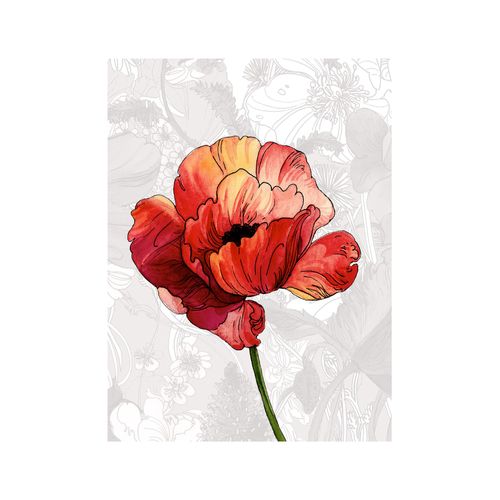 4055065178016 - Bild KOMAR Amora bunt (farbe bild(er) bunt) B40cm H50cm Papier Holz Bilder Wandbild zur Dekoration - ohne Rahmen