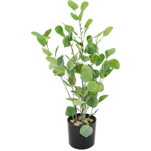 4019844763954 - Kunstbaum IGEA Eukalyptus im Topf künstlich Eukalyptusbaum Pflanze Dekobaum grün B30cm H60cm L24cm Polyester Kunstpflanzen Bäume Silberdollarblatt Deko Hochzeitsdeko Strauch Busch Kunstpflanze