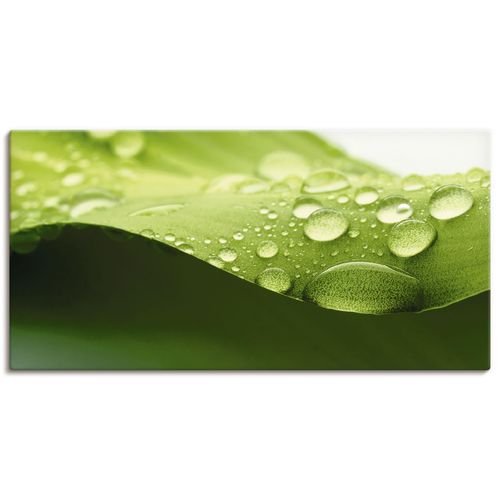 4055327420587 - Wandbild ARTLAND Blatt Bilder Gr B H 100 cm x 50 cm Leinwandbild Zen Querformat 1 St grün Bild Poster Bilder als Leinwandbild Wandaufkleber oder in versch Größen