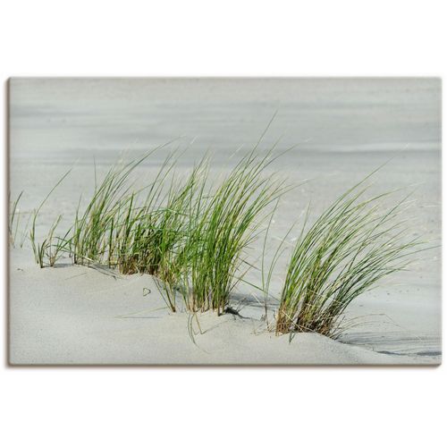 4062144758571 - Wandbild ARTLAND Gräser am Strand Bilder Gr B H 90 cm x 60 cm Leinwandbild Strandbilder Querformat 1 St beige (naturfarben) Kunstdrucke als Alubild Leinwandbild Wandaufkleber oder Poster in versch Größen