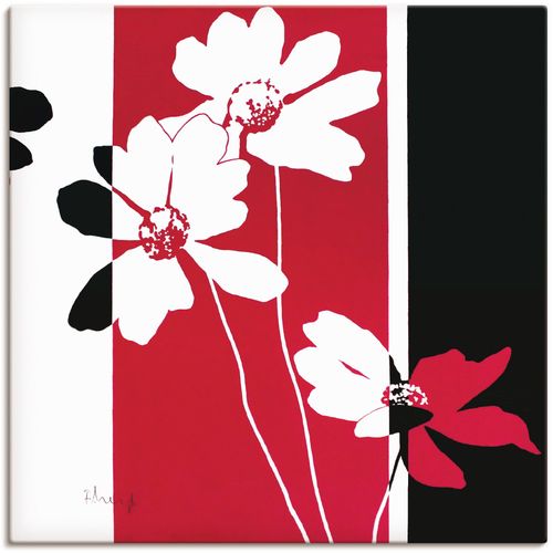 4055327824293 - Wandbild ARTLAND Anemonen Varition Bilder Gr B H 30 cm x 30 cm Leinwandbild Blumen 1 St rot Bild Kunstdruck Poster Bilder als Leinwandbild Wandaufkleber oder in versch Größen