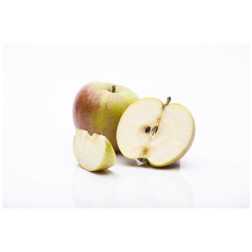 4063654227748 - Malus Cox Orange Renette Apfelbaum 150–200 cm 4063654227748 - Malus Cox Orange Renette Apfelbaum 150–200 cm