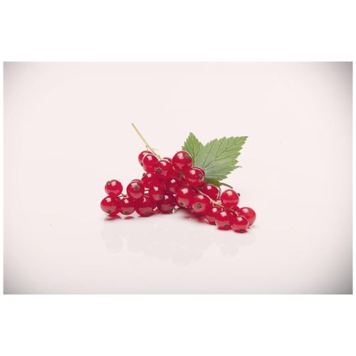 4063654272052 - Ribes rubrum Rovada Rote Johannisbeere 60 cm Stammhöhe 4063654272052 - Ribes rubrum Rovada Rote Johannisbeere 60 cm Stammhöhe