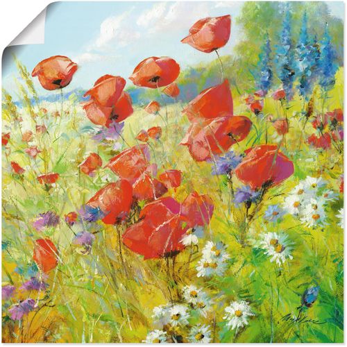 4055327272551 - Wandbild ARTLAND Sommerwiese mit Mohnblumen Bilder Gr B H 30 cm x 30 cm Poster Blumenwiese 1 St bunt Bild Poster Bilder als Alubild Leinwandbild Wandaufkleber oder in versch Größen 4055327272551 - Wandbild ARTLAND Sommerwiese mit Mohnblumen Bilder Gr B H 30 cm x 30 cm Poster Blumenwiese 1 St bunt Bild Poster Bilder als Alubild Leinwandbild Wandaufkleber oder in versch Größen