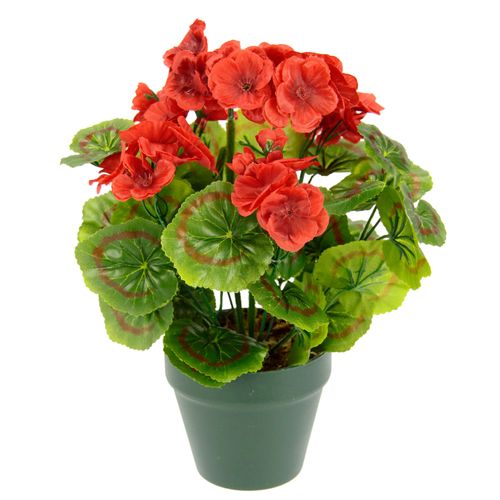 4019844779979 - Kunstpflanze IGEA Künstliche Geranie im Topf rot B22cm H28cm L22cm Polyester Kunstpflanzen Geranienbusch Seidenblumen Dekopflanze Zimmerpflanze Kunstblumen