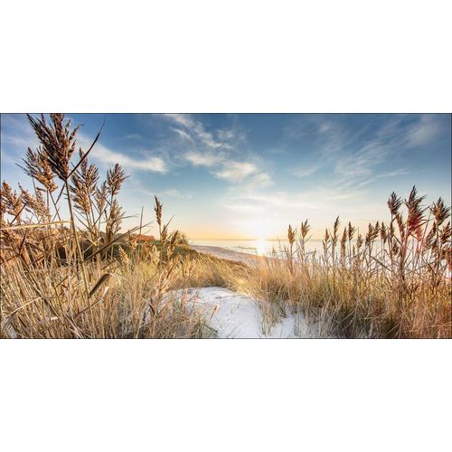 4019449471834 - PRO ART Aludibondbild WILDERSTRAND (BHT 200x100x110 cm) BHT 200x100x110 cm bunt Alubild Metallbild 4019449471834 - PRO ART Aludibondbild WILDERSTRAND (BHT 200x100x110 cm) BHT 200x100x110 cm bunt Alubild Metallbild