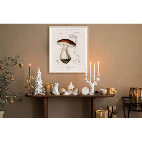 4067437115628 - Bild mit Rahmen QUEENCE Detailbild Pilz weiß (farbe rahmen natur farbe bild(er) weiß) B50cm H70cm T15cm Acrylglas Holzrahmen Bilder Premium Rahmenbild liebevolle Handarbeit 4067437115628 - Bild mit Rahmen QUEENCE Detailbild Pilz weiß (farbe rahmen natur farbe bild(er) weiß) B50cm H70cm T15cm Acrylglas Holzrahmen Bilder Premium Rahmenbild liebevolle Handarbeit