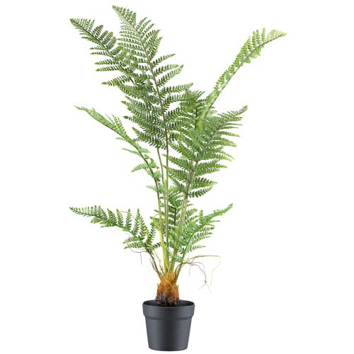 4064118242260 - Kunstpflanze CREATIV GREEN Pteris Tremula Farn grün H100cm Kunststoff Kunstpflanzen mit naturgetreuen Farnwedeln 4064118242260 - Kunstpflanze CREATIV GREEN Pteris Tremula Farn grün H100cm Kunststoff Kunstpflanzen mit naturgetreuen Farnwedeln