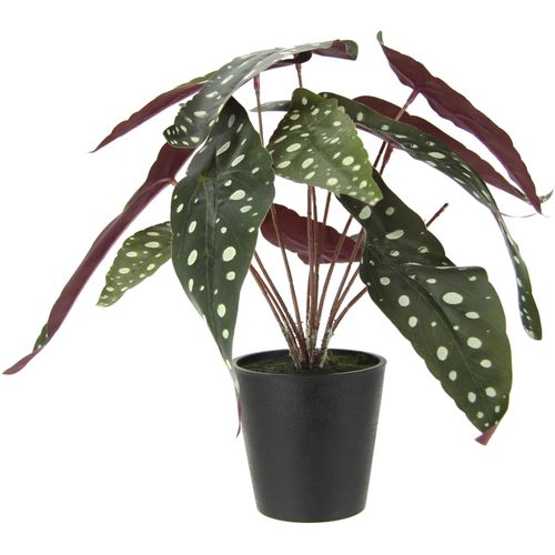 4019844789664 - Kunstpflanze IGEA Strauchbegonie grün B30cm H26cm L20cm Obermaterial 95% Polyester 5% Kunststoff Kunstpflanzen Im Topf Seidenblumen Real Touch Kunstpflanzen