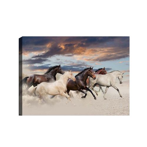 8681875739985 - Wandbild »Wallxpert Pferde 50 x 70 cm« 8681875739985 - Wandbild »Wallxpert Pferde 50 x 70 cm«