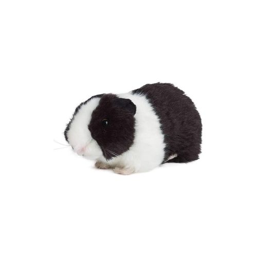 5037832320667 - Meerschweinchen schwarz 18cm ohne Sound Plüschtier Kuscheltier Meerschwein Kinder 5037832320667 - Meerschweinchen schwarz 18cm ohne Sound Plüschtier Kuscheltier Meerschwein Kinder