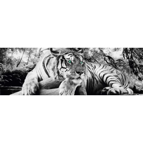 8714597389852 - Deco-Panel HOME AFFAIRE Tiger guckt dich an grau (farbe bild(er) grau) B90cm H30cm MDF Papier Bilder 8714597389852 - Deco-Panel HOME AFFAIRE Tiger guckt dich an grau (farbe bild(er) grau) B90cm H30cm MDF Papier Bilder