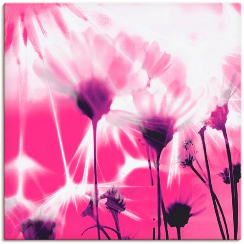 4055327389914 - Wandbild ARTLAND Pusteblume abstrakt Bilder Gr B H 70 cm x 70 cm Leinwandbild Blumen 1 St pink Bild Kunstdruck Kunstdrucke Bilder als Leinwandbild Wandaufkleber oder Poster in versch Größen 4055327389914 - Wandbild ARTLAND Pusteblume abstrakt Bilder Gr B H 70 cm x 70 cm Leinwandbild Blumen 1 St pink Bild Kunstdruck Kunstdrucke Bilder als Leinwandbild Wandaufkleber oder Poster in versch Größen