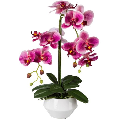 4003529906101 - Kunstpflanze CREATIV GREEN Kunstpflanzen Gr H 52 cm 1 St rosa Künstliche Zimmerpflanzen Kunstpflanzen 4003529906101 - Kunstpflanze CREATIV GREEN Kunstpflanzen Gr H 52 cm 1 St rosa Künstliche Zimmerpflanzen Kunstpflanzen