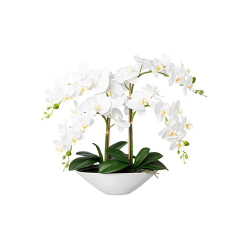 4064118051305 - Kunstorchidee GASPER weiß Kunstpflanzen B H 35cm x 53cm Keramik Kunststoff B35cm H53cm T14cm 4064118051305 - Kunstorchidee GASPER weiß Kunstpflanzen B H 35cm x 53cm Keramik Kunststoff B35cm H53cm T14cm