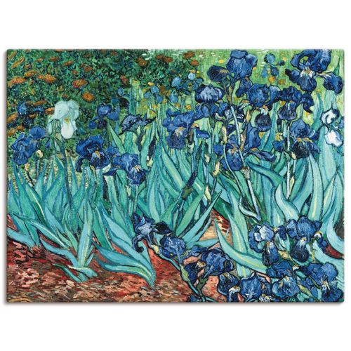 4057738010708 - Wandbild ARTLAND Iris (Schwertlilien) 1889 Bilder Gr B H 80 cm x 60 cm Leinwandbild Blumen Querformat 1 St blau Bild Poster Bilder als Leinwandbild Wandaufkleber oder in versch Größen