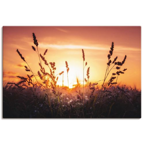4059745056601 - Wandbild ARTLAND Träumen Bilder Gr B H 90 cm x 60 cm Leinwandbild Felder Querformat 1 St orange Bild Poster Bilder als Alubild Leinwandbild Wandaufkleber oder in versch Größen 4059745056601 - Wandbild ARTLAND Träumen Bilder Gr B H 90 cm x 60 cm Leinwandbild Felder Querformat 1 St orange Bild Poster Bilder als Alubild Leinwandbild Wandaufkleber oder in versch Größen