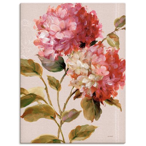 4055327751032 - Wandbild ARTLAND Harmonische Hortensien Bilder Gr B H 60 cm x 80 cm Leinwandbild Blumen Hochformat 1 St pink Bild Poster Bilder als Leinwandbild Wandaufkleber oder in versch Größen