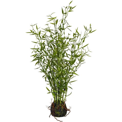 4064118137245 - Künstliche Zimmerpflanze CREATIV GREEN Bambus im Moosballen Kunstpflanzen Gr H 60 cm 1 St grün Künstliche Zimmerpflanzen